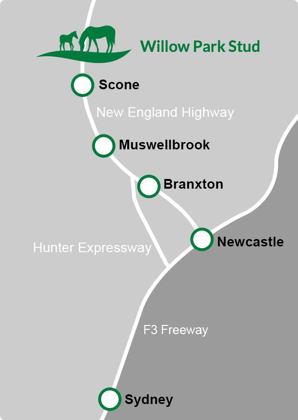 Scone Map